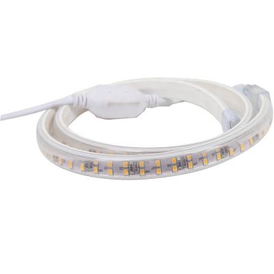 China Outdoor 12V 220V Directly Input Waterproof 5m 10m 2835 SMD LED Strip Light for sale