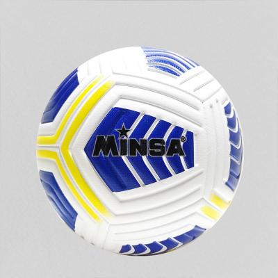 China Durable 2021 Light OEM Customize Shoe Soccer For Fitness for sale