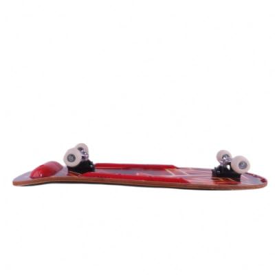 China Eclectic Skateboard Accessories 2021 New Design Scateboard With Lower Price for sale