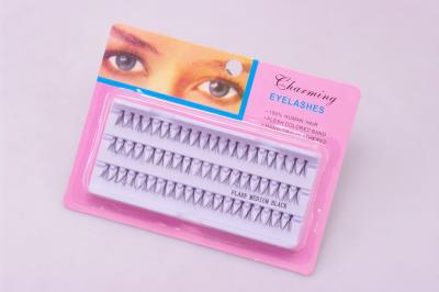 Chine kit coréen de permanente de cil de 15*13*2.5 cm pour les cils de charme, les caractéristiques fiables et les faux cils synthétiques à vendre