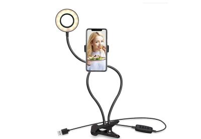 China 3 Farben Selfie Ring Light mit Clip-Stand u. Telefon-Halter, führten Kreis-Lichter für Handy zu verkaufen