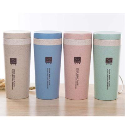 China 2020 Commercial Viable Product Biodegradable Double Wall Straw Water Bottle Wheat for sale