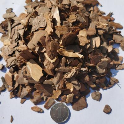 China Garden Decotation Organic Garden Decoration Outdoor Plants Live Landscape Pine Wood Bark Chip Mulch for sale