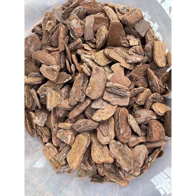 China Garden Decotation Pine Bark Covering Products Garden Plants Support Gardening Garden for sale