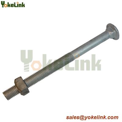 China Carbon steel galvanized carriage bolt 3/8