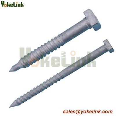 China Hot dip galvanized regular Lag screw for sale