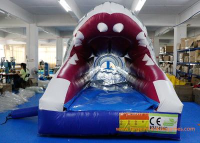 China Diapositiva inflable grande comercial o personal ROSH del tiburón de la lona del PVC en venta