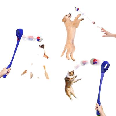 China 2021 Manufacturer Sale Hot Viable Training Dog Toy Non-automatic Outdoor Walking Throwing Stick Pet Products PetToys for sale