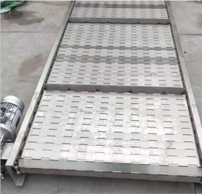 China Heat Resistant Slat Conveyor Assembly Chains Packing Chains Chain Conveyor for sale