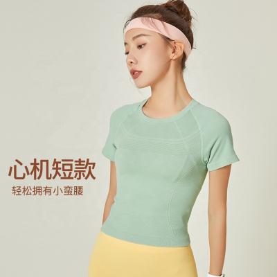 China Custom Logo Gray Soft Cutout Butt Lift Butt Lift Compression Workout Gym Fitness Gym Wear High Waist Women Seamless Spotted Cotta Breathable Custom Made for sale