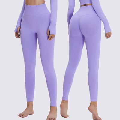 China Breathable Candy 11 Colors Seamless Yoga Leggings Gym Apparel Yoga Pants Fitness Workout Leggings For Women for sale