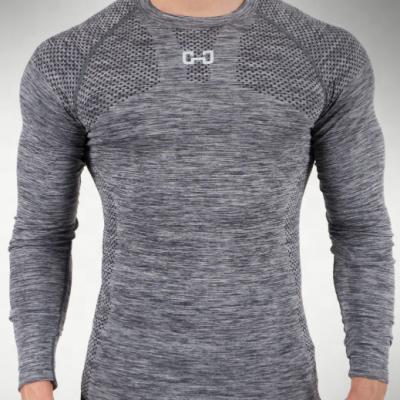 China Men's QUICK DRY Elastic Gym Long Sleeve Workout Basic Round Shirt Collar T-Shirt Breathable Round Shirt for sale