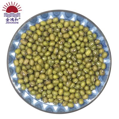 China Wholesale price grade color selection green bean gram vigna radiata seed dry hot top extract carefully for sale