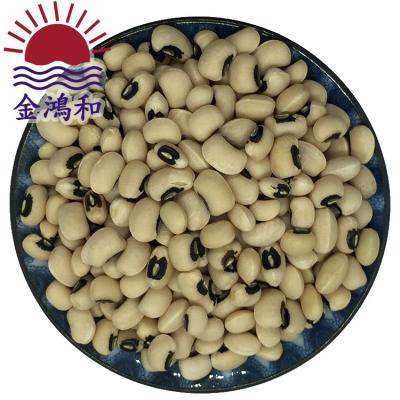 China Hot Sale Dried Dried Cowpeas For Sale / Black White Eye Bean Cowpeas Price for sale