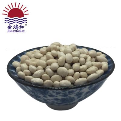 China Extra fine quality dwarf beans/butter bean/dried white bean for sale