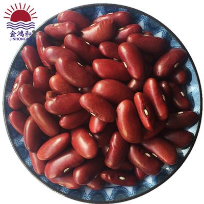 China Top Selling Dried Chinese Pinto Kidney Beans Dried / Dried Red Kidney Beans for sale