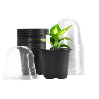 China Eco-friendly Wholesale Soft Plastic Flower Pot Nursery Plant Germination Container With Cover Seed Starting Pot for sale