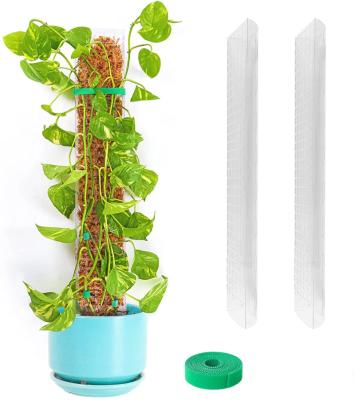 China 100% Eco-Friendly 24 Inch Plastic Poles For Plant Monstera Philodendrons Poles For Indoor Plants Sphagnum Moss Pole Plants Support for sale