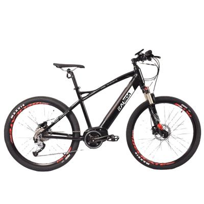 China Fashionable Lithium battery big tire mountain bike with charger professional for sale