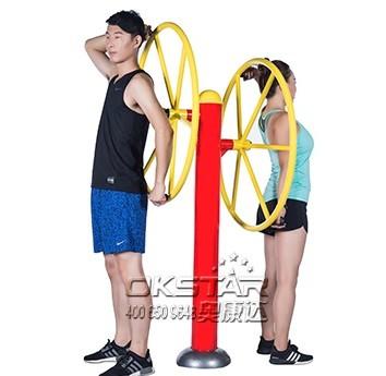 China China high quality Outdoor Fitness Equipments with TUV certificates EN16630-outdoor turning wheel for sale