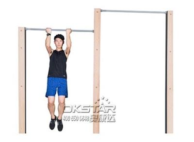 China outdoor exercise equipments WPC materials based outdoor exercise machine chin up bar for sale