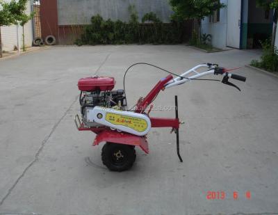 China Mini Garden Tractor Gasoline Engine Power Tiller 5.5kw for sale