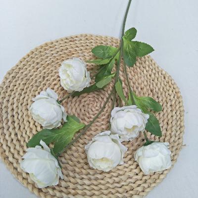 China Wholesale Durable Flower 6 Head White Peony Artificial Silk Flower For Wedding for sale