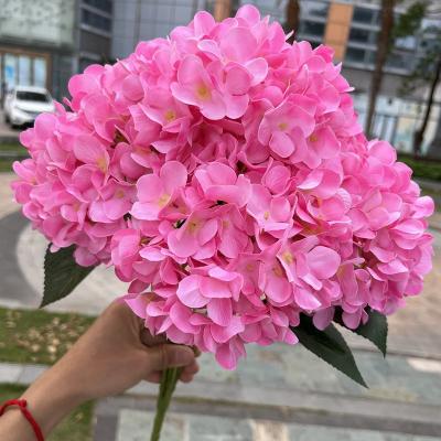 China Layout Durable Wholesale 5 Forks Hot Pink Hydrangeas Flowers Artificial Wedding for sale