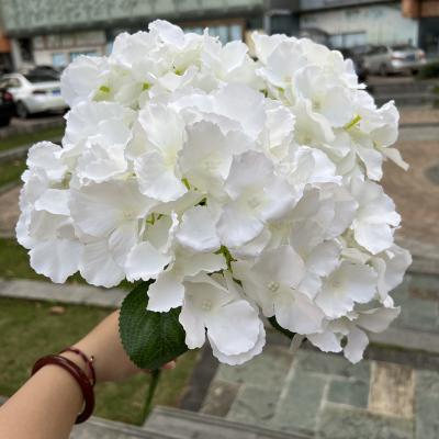 China 5 main long lasting artificial silk hydrangea hydrangea flowers for wedding for sale