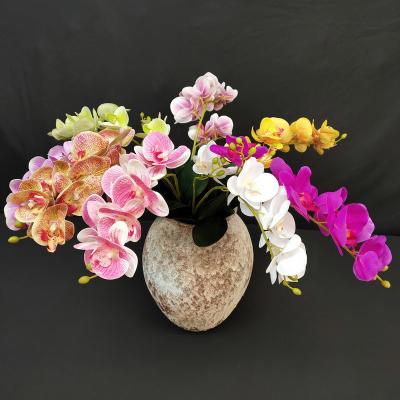 China 9 Head Wholesale Real Orchids Artificial Flowers Durable Touch Latex Phalaenopsis Orchids for sale