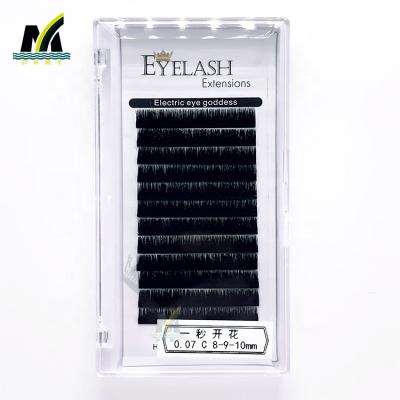 China Eye Fan Lashes Proyeeri Lash Extensions Private Label and Eyelash Extension Tray High Quality and Lash Extension for sale