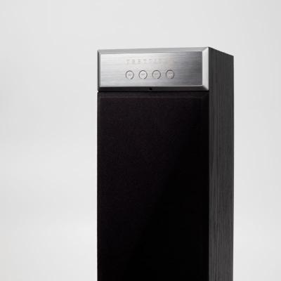 China DTS Drop Shipping 2.1 High End Home Theater Speaker? Impex 5inch Passive Tower Speaker for sale