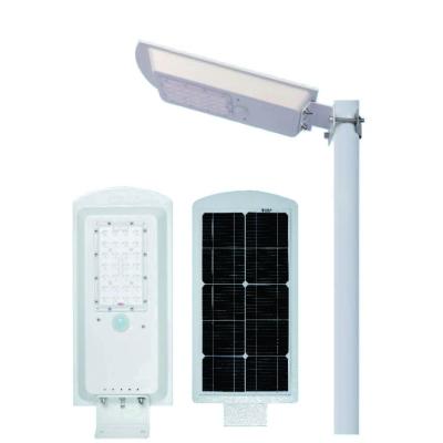 China ROAD Maxbo 20W 80 Watt High Power Integrated All In One Steel Led Africa With Pole Induction Solar Street Light With Panel for sale