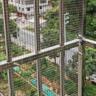 China Long Life Welded Wire Mesh  for   Chicken Cage    rabbit cage   animal cage for sale