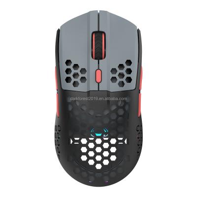 China Dual Mode Gaming Mouse 2.4G Wireless+Type-C Gaming Mouse RGB Buttons DPI Optical Gaming Mouse Pixart3389 Lightweight Honeycomb Programmable Adjustable Light Weight for sale