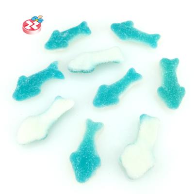 China Glucose Halal Meat Candy Soft Candy Chews Animal Dolphin Fish Form Gummy Candy for sale