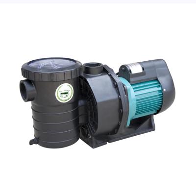 China Water Treatment Solutions Piscinas Pool Pump Australia Warehouse Stock Ship Directly for sale