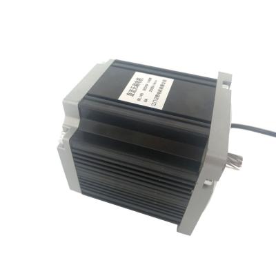 China Totally Enclosed Most Favorable Choice High Torque 160w Brushless DC Motor 3000rpm for sale