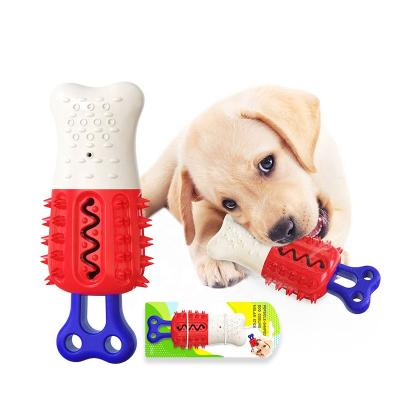 China Sustainable Private Removable Puppy Toothbrush Puppy Toothbrush Chew Toys For Dogs for sale