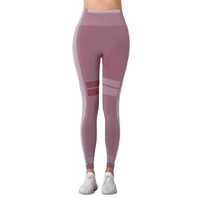 China 2021 Women's Fashion Comfortable Breathable Yoga Tights High-Waisted Arm Warmers Best-selling Yoga Tights for sale