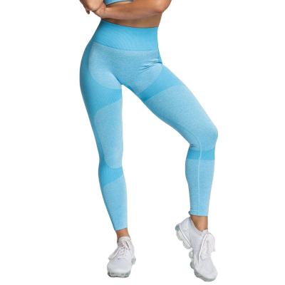 China 2021 New Women's Breathable Stretch Tights Sports Yoga And Long Ankle Leggings High Waist Fitness Workout Sports Tights For Women for sale