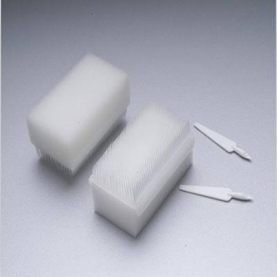 China Disposable Medical Clinic Hospital Use Nail Hand Wash Surgical Cleaning Scrub Brush for sale