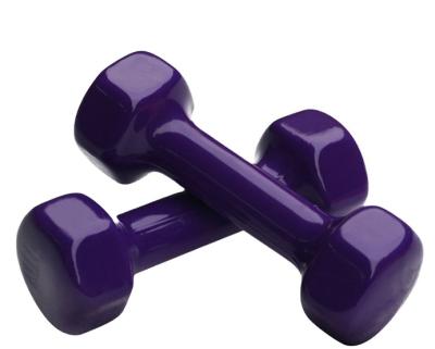 China Carry Factory Dumbbell Women Weightlifting Vinyl And Neoprene Dumbbell Set Cheap for sale