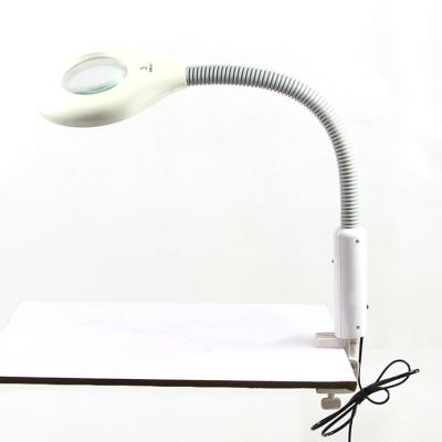 China 3 Times Magnifying Lamp Adjustable White Vertical Tattoo Amplifying Cold Light Salon Beauty Simple Beauty for sale