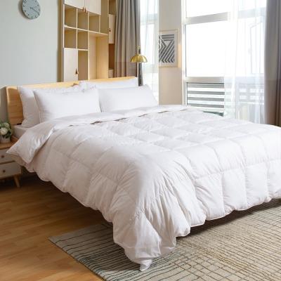 China Home Making Customized King Size All Season Soft Anti-bacteria Bed Polyester Comforter for sale