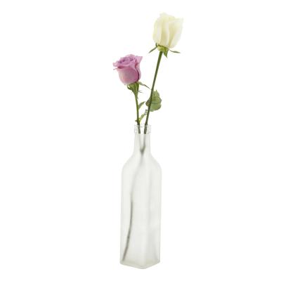 China Europe Modern Home Decor Frosted Glass Bottles Tall Glass Flower Vase for sale