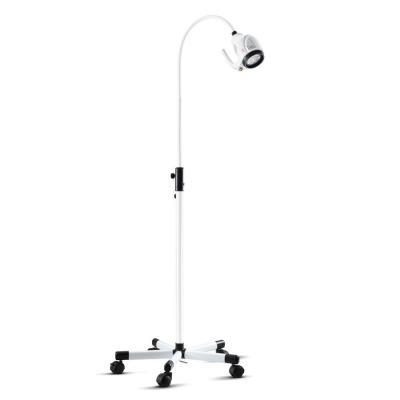 China Metal Ce Certified Approved Ac90-240V Goose Neck Examination Lamp For Hospital Patient for sale