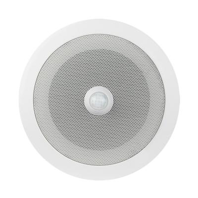 China Indoor Private Mold PIR Alarm Detective Audio Speaker Replaceable Motion Sensor Manufacturer For Commercial Application for sale