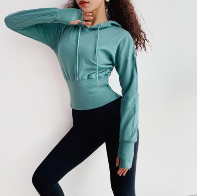 China Antibacterial Yoga T Shirts Ladies Casual Top Sports Long Sleeve Crop Top for sale