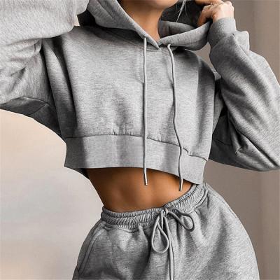 China Autumn Yoga Suits Antibacterial 2 Piece Set Women Casual Tracksuits Tracksuits for sale